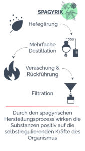 die 4 Schritte des Herstellungsprozess der Spagyrik: Hefegärung, Destillation, Veraschung, Filtration
