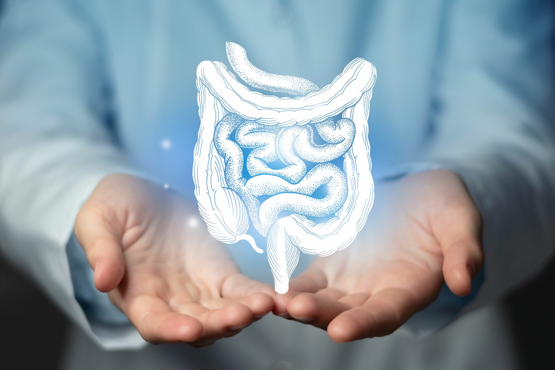 Tratto gastrointestinale