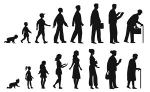 Life stages shown using black shadow figures from baby to senior citizen