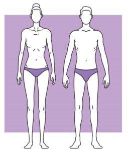Man and woman as ectomorph type