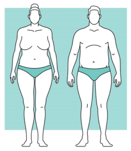 Man and woman as endomorphic type