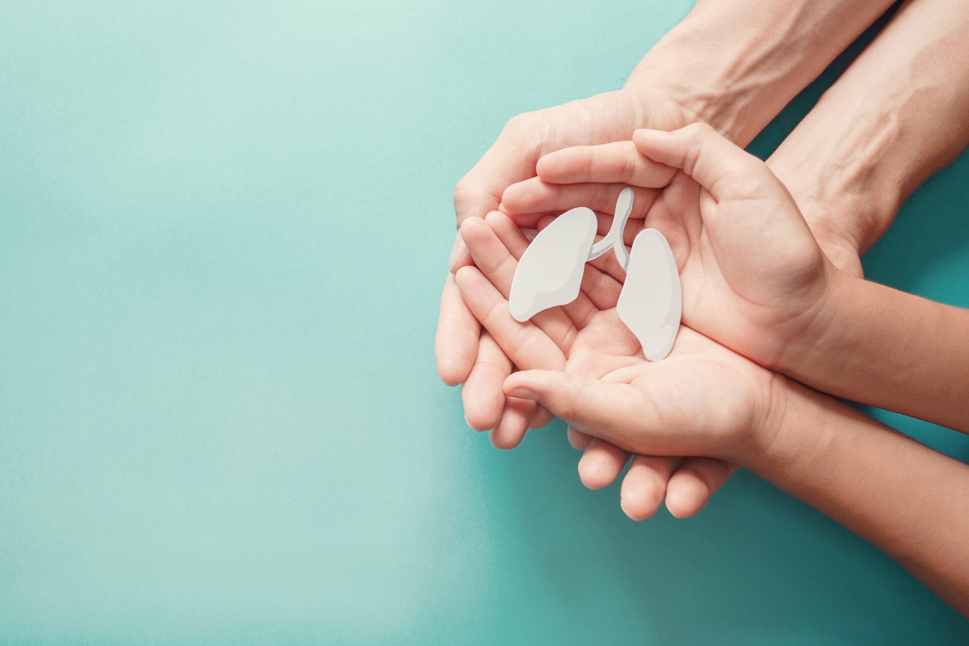 Two pairs of hands lie on top of each other and hold a replica of the lungs in their palms.